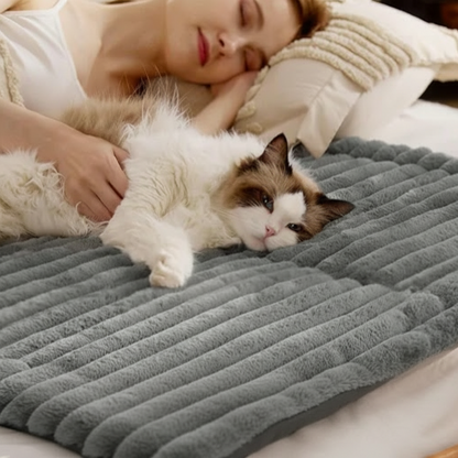 Warming pet Mat